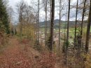 Sentier discret
